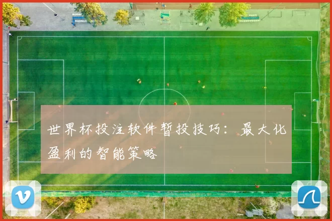 世界杯投注软件暂投技巧:最大化盈利的智能策略