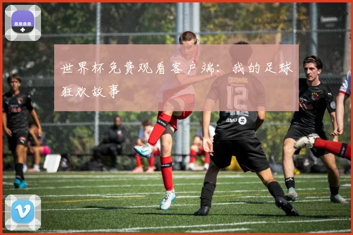 世界杯免费观看客户端：我的足球狂欢故事
