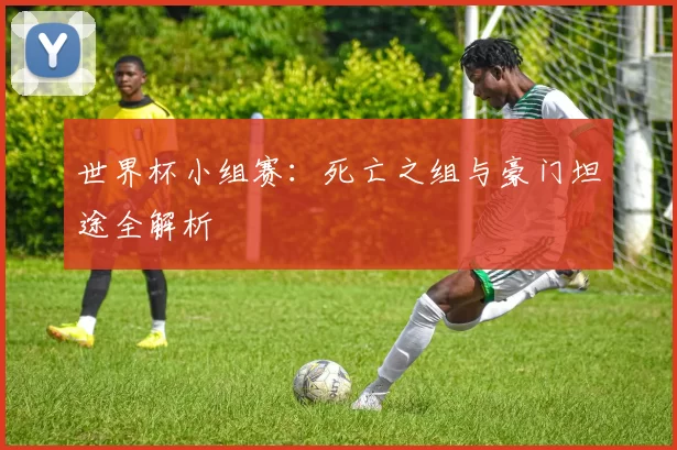 世界杯小组赛：死亡之组与豪门坦途全解析