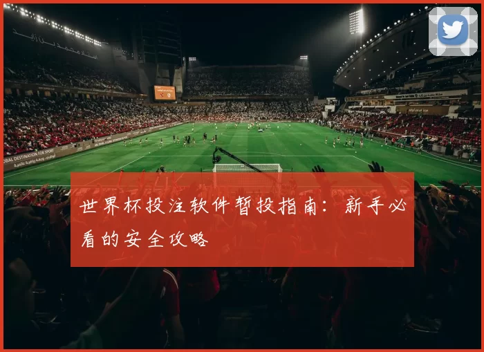 世界杯投注软件暂投指南：新手必看的安全攻略
