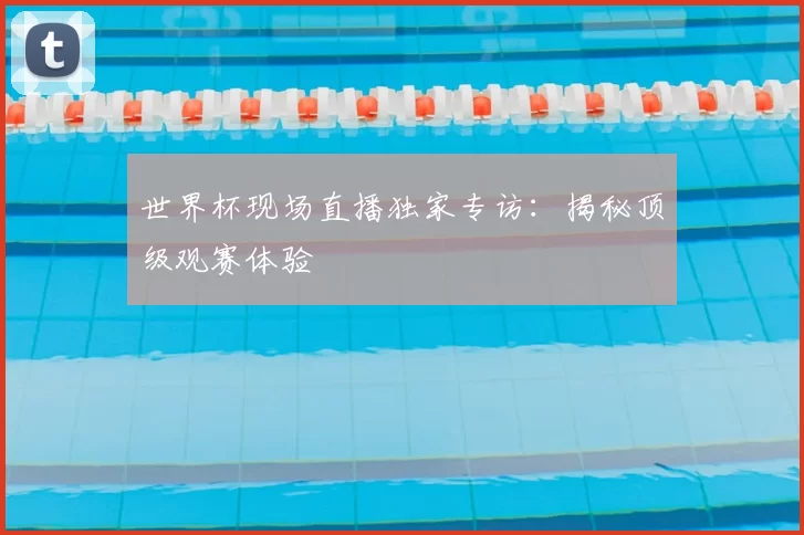 世界杯现场直播独家专访:揭秘顶级观赛体验
