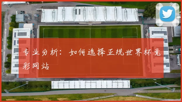 专业分析：如何选择正规世界杯竞彩网站