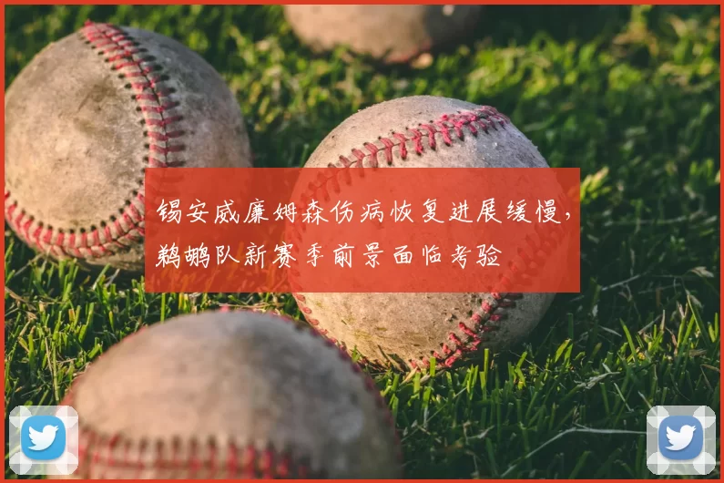 锡安威廉姆森伤病恢复进展缓慢,鹈鹕队新赛季前景面临考验
