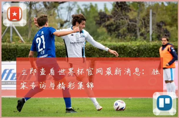 立即查看世界杯官网最新消息：独家专访与精彩集锦