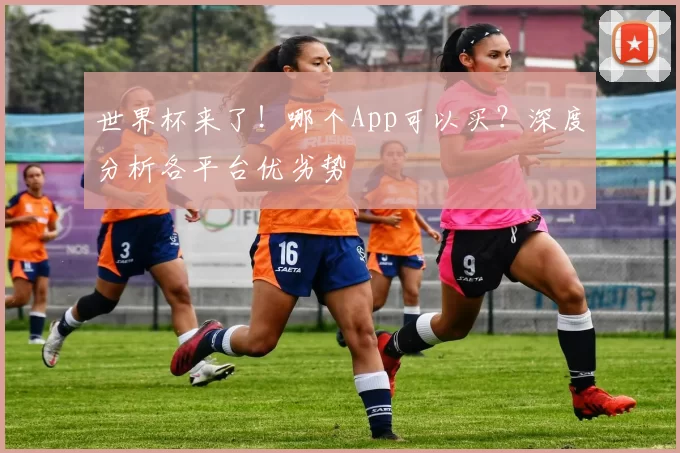 世界杯来了！哪个App可以买？深度分析各平台优劣势