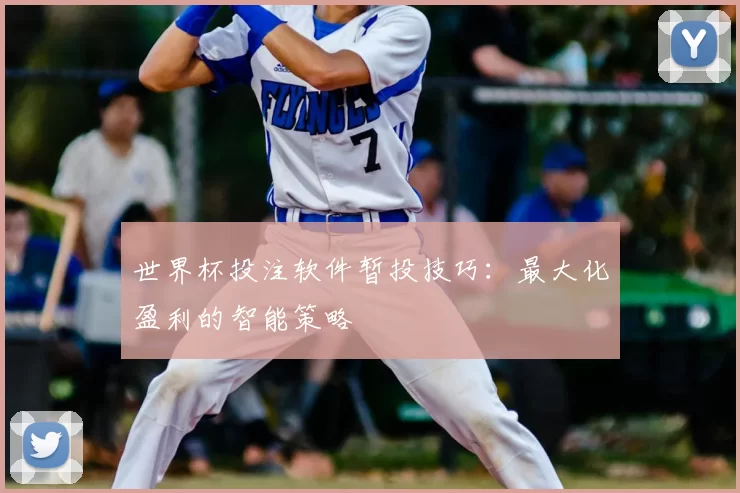 世界杯投注软件暂投技巧：最大化盈利的智能策略