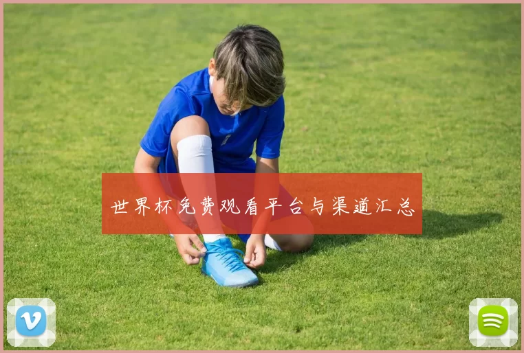 世界杯免费观看平台与渠道汇总