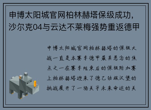 申博太阳城官网柏林赫塔保级成功，沙尔克04与云达不莱梅强势重返德甲 - 副本